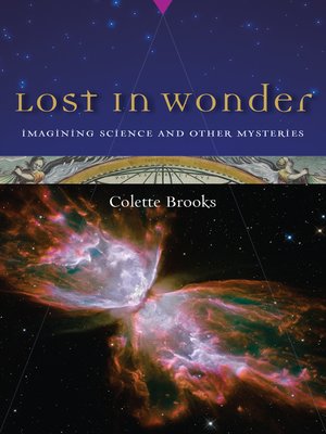 cover image of Lost in Wonder